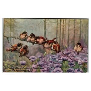 Raphael Tuck O'Dette "Birds and Blossoms" Postcard 9169 Sparrows Poppies